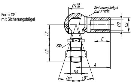 Winkelgelenke DIN 71802 Form CS