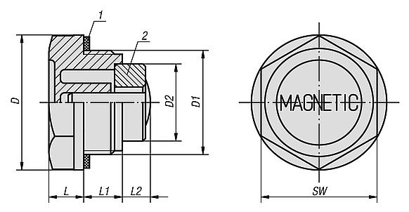 Screw plugs with magnet
